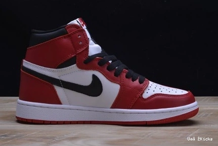 JORDAN AIR 338 RETRO 1 DailyWear 1010
